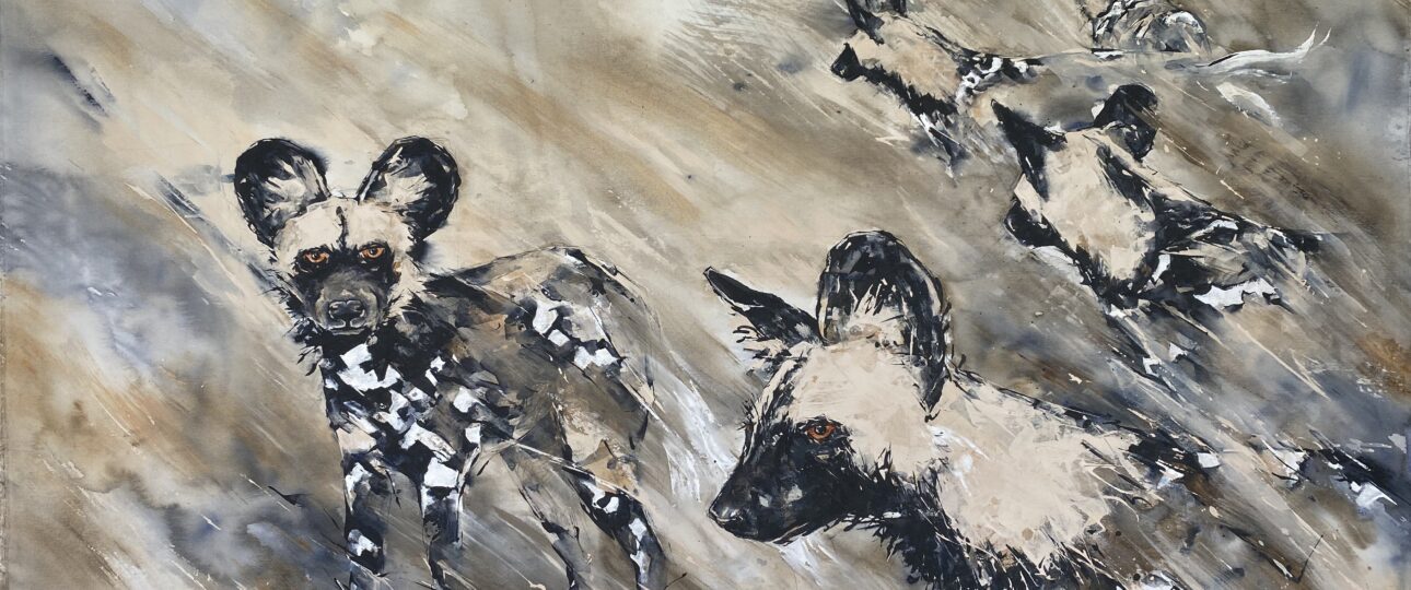 Wildlife_Painted wild dog Pack, acrylic on loose canvas