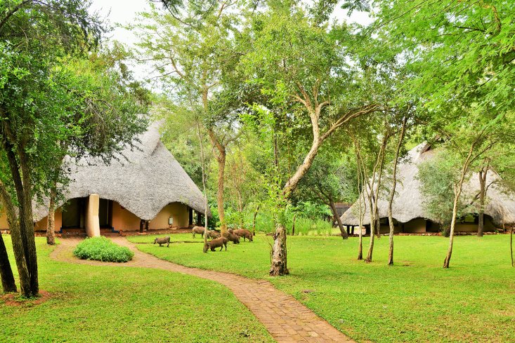 africa_albida_tourim_lokuthula_lodge_nature_gardens